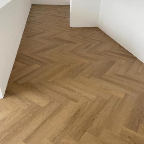 visgraad OVC
